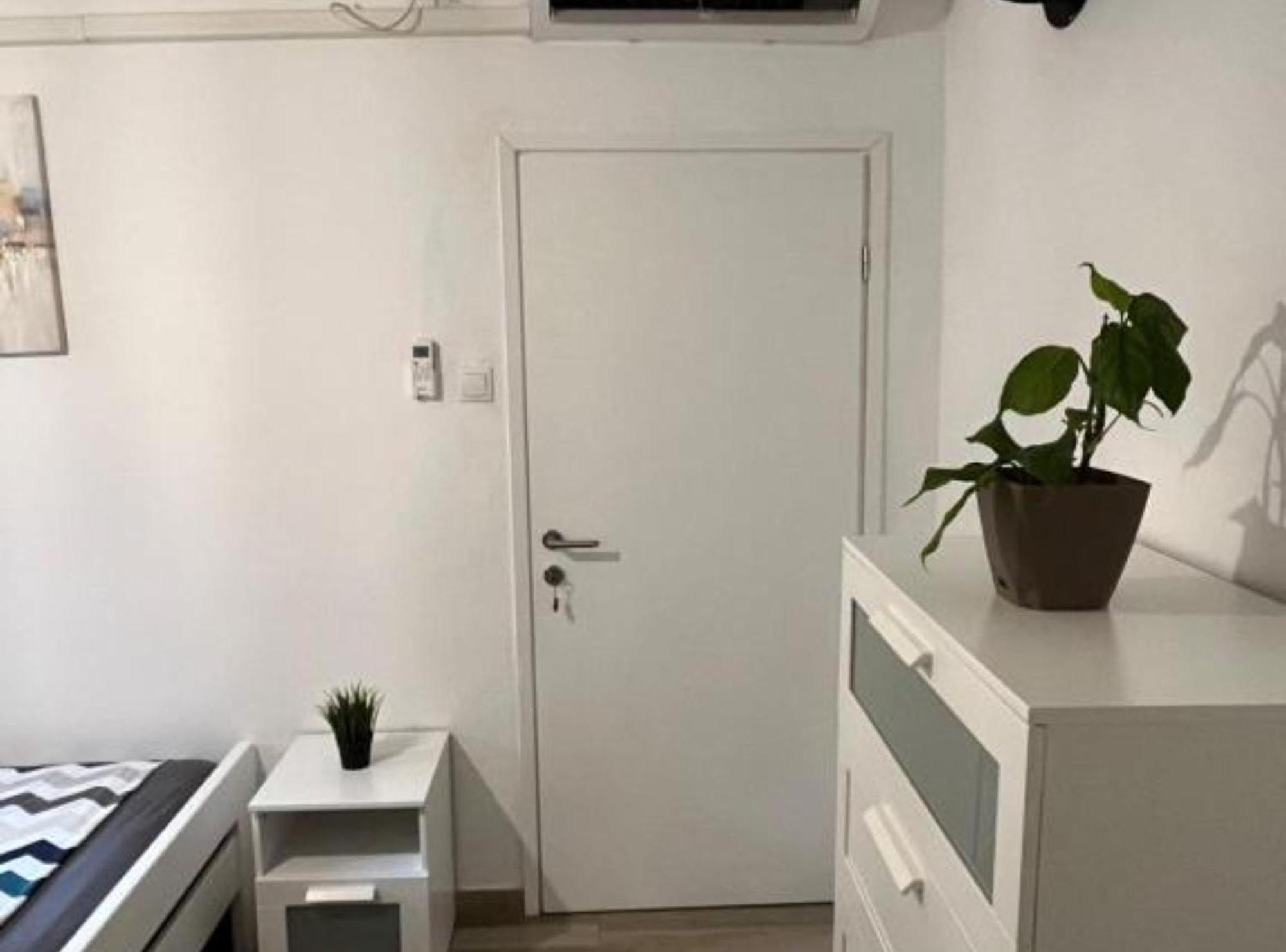 Apartman Pod Plocom เซนญ์ ภายนอก รูปภาพ